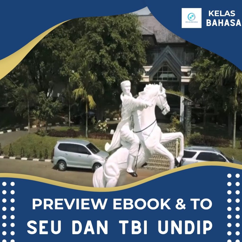 SEU UNDIP