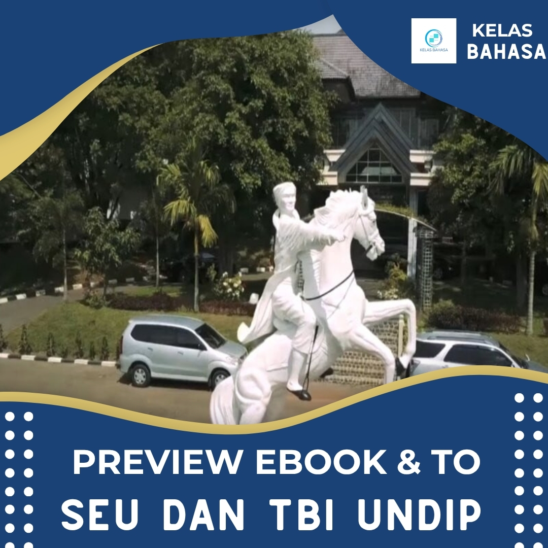SEU UNDIP